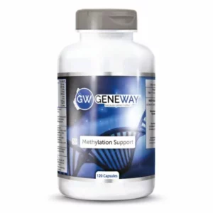 GENEWAY™ Methylation Support